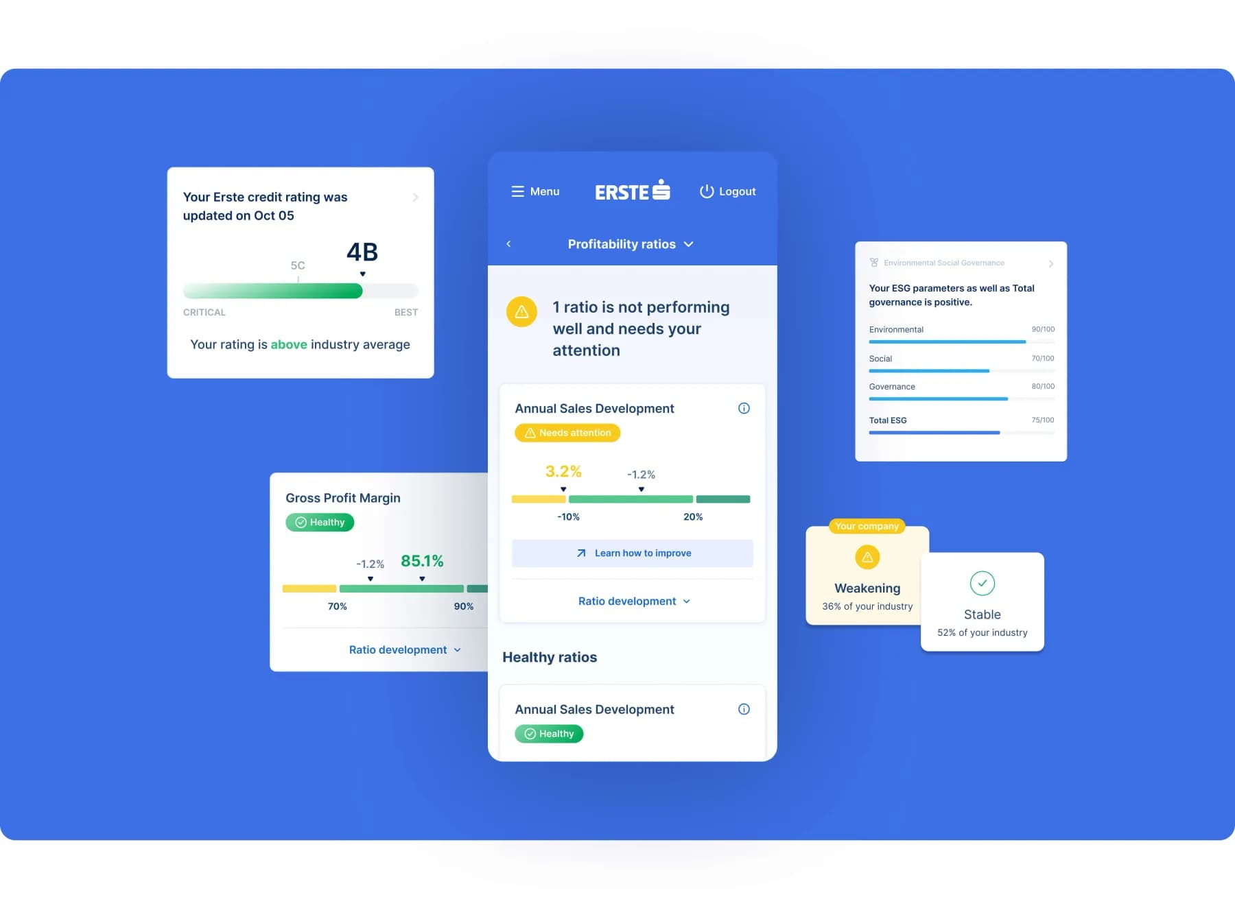 Erste · Financial Health