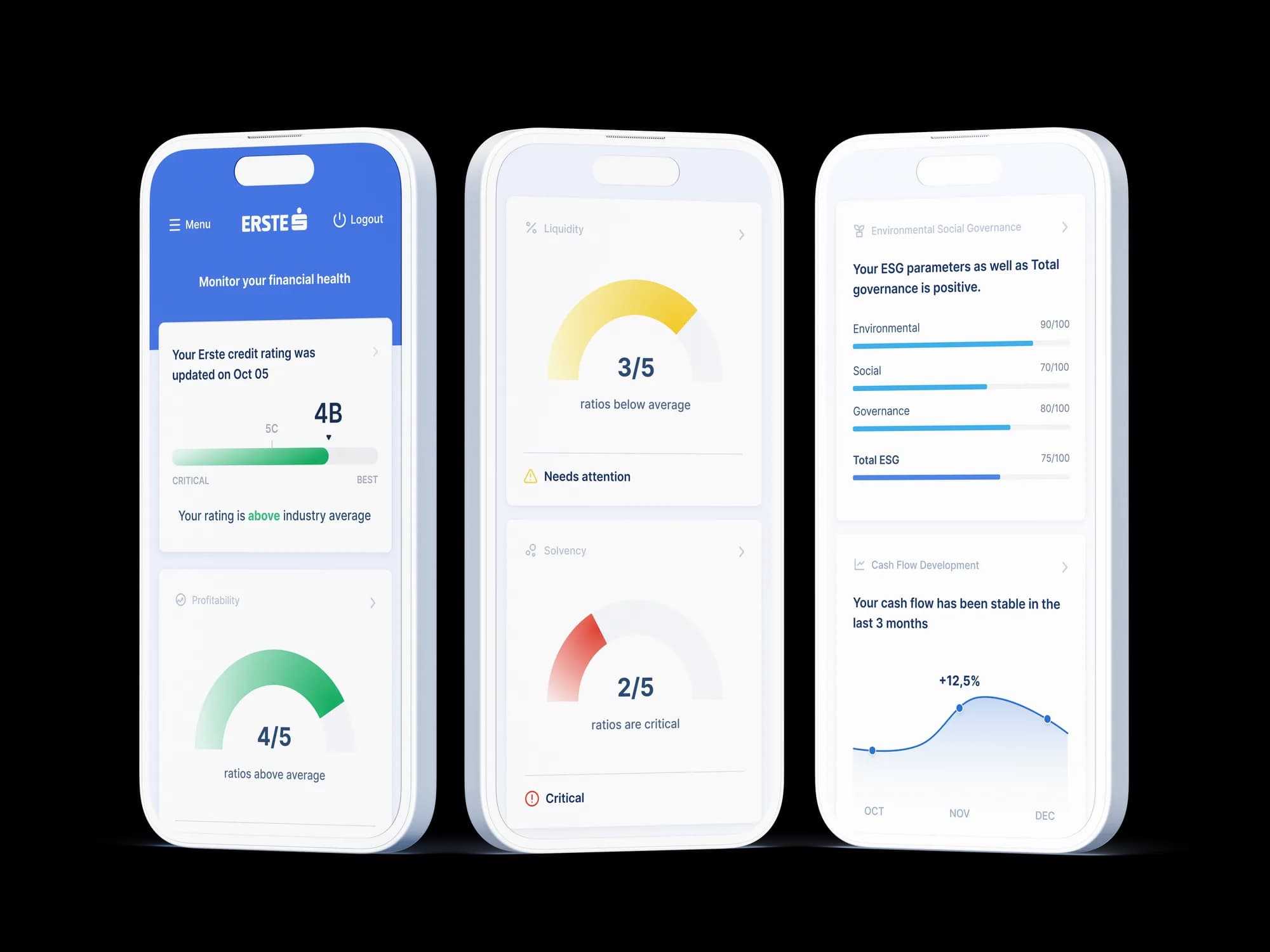 Erste · Financial Health