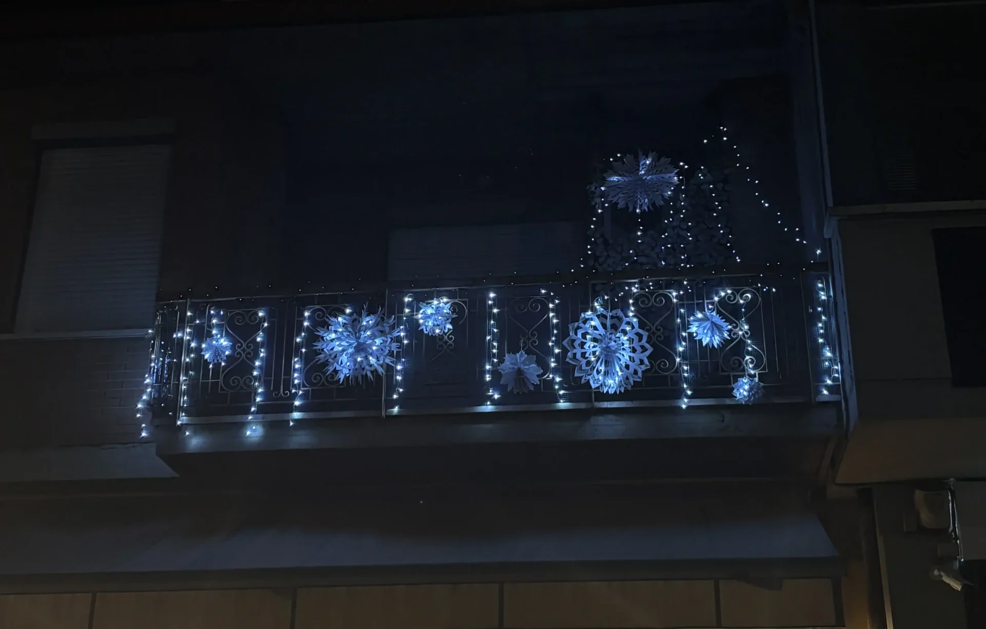 Marinella Polticchia