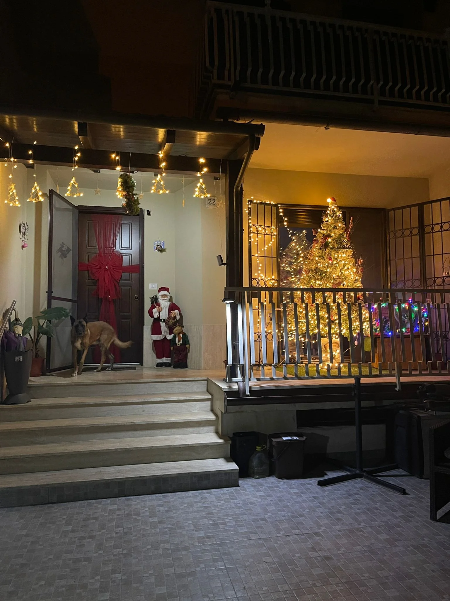 D'accardi Antonietta